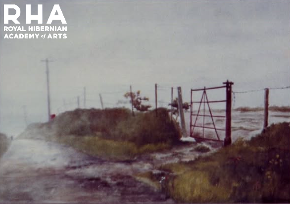 Laneway in Howth ~ www.olivermurphyartist.com